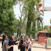 Basket Ball Activity