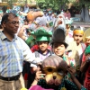 Children in different Animal Costumes