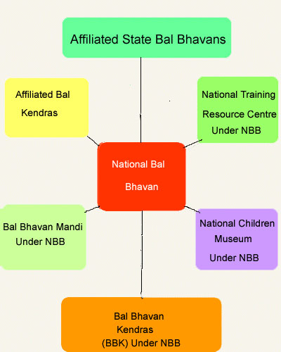 orgnisation structure NBB